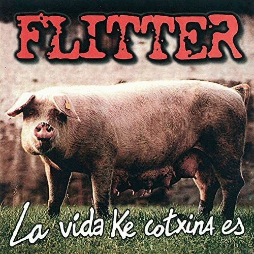 Flitter : La Vida Ke Cotxina Es